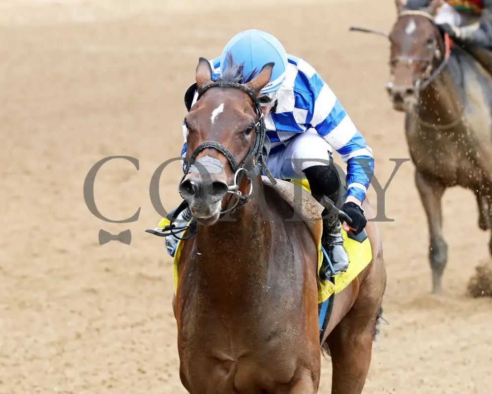 KILWIN - The Leslie’s Lady Overnight Stakes - 4th Running - 06-08-25 - R05 - CD - Inside Finish 01 Churchill Downs