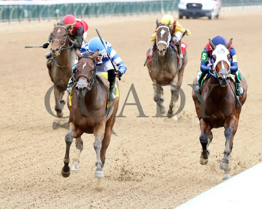 KILWIN - The Leslie’s Lady Overnight Stakes - 4th Running - 06-08-25 - R05 - CD - Inside Finish 02 Churchill Downs
