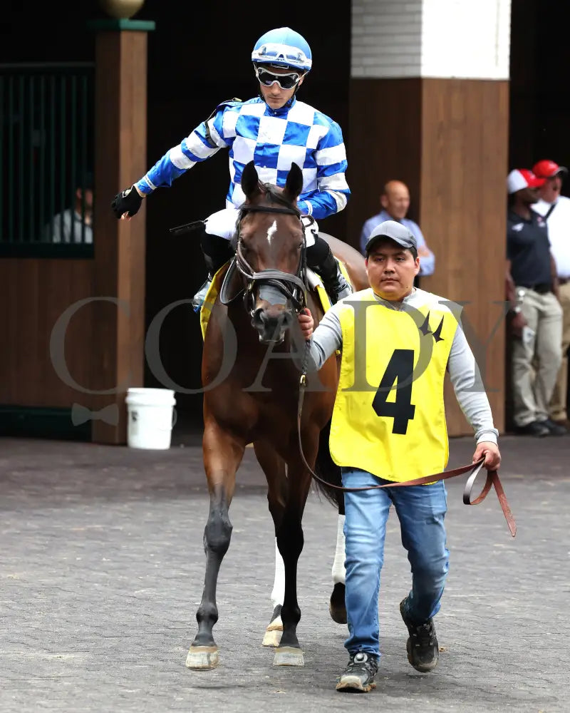 KILWIN - The Leslie’s Lady Overnight Stakes - 4th Running - 06-08-25 - R05 - CD - Paddock 01 Churchill Downs