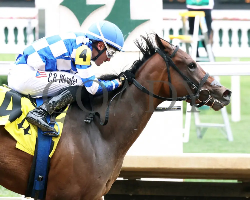 KILWIN - The Leslie’s Lady Overnight Stakes - 4th Running - 06-08-25 - R05 - CD - Tight Finish 01 Churchill Downs