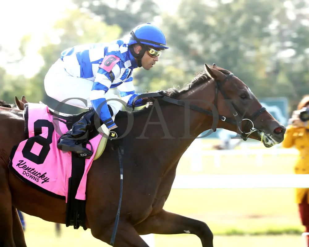 Kilwin - The Untapable Stakes 09-08-24 R08 Kd Finish 02 Kentucky Downs