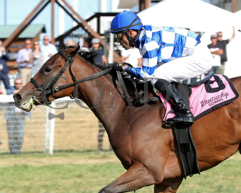 Kilwin - The Untapable Stakes 09-08-24 R08 Kd Inside Finish 01 Kentucky Downs