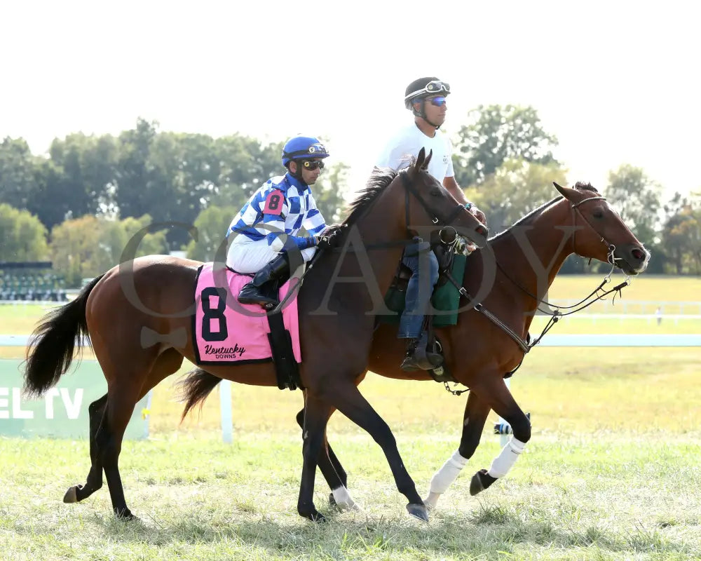 Kilwin - The Untapable Stakes 09-08-24 R08 Kd Post Parade 01 Kentucky Downs