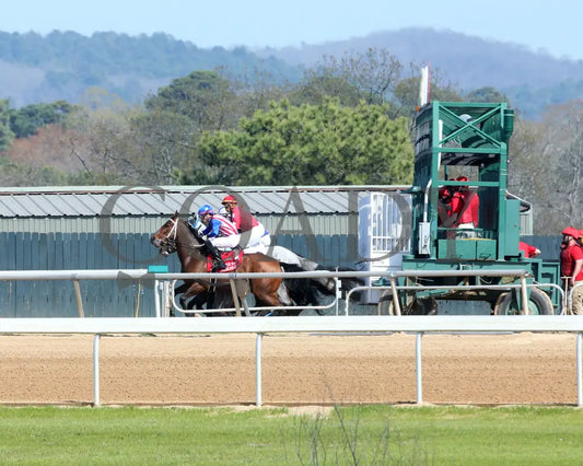 KIMCHI CAT - The Purple Martin - 03-22-25 - R07 - Oaklawn Park - Start 01 Oaklawn Park