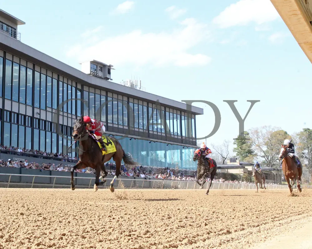KIMCHI CAT - The Purple Martin - 03-22-25 - R07 - Oaklawn Park - Under Rail 01 Oaklawn Park