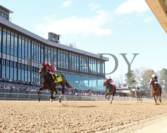 KIMCHI CAT - The Purple Martin - 03-22-25 - R07 - Oaklawn Park - Under Rail 01 Oaklawn Park