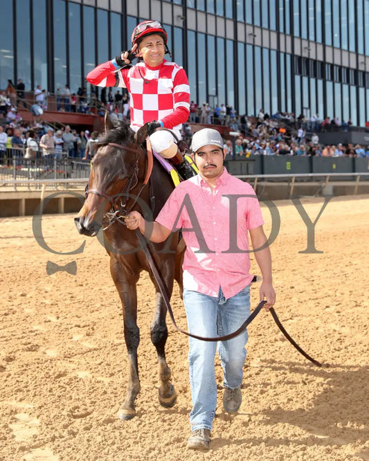 KIMCHI CAT - The Purple Martin - 03-22-25 - R07 - Oaklawn Park - Walk In 01 Oaklawn Park