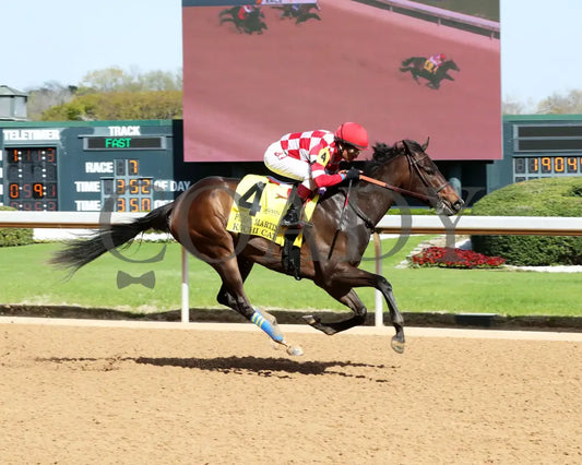 KIMCHI CAT - The Purple Martin - 03-22-25 - R07 - OP - Finish 01 Oaklawn Park