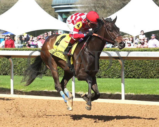 KIMCHI CAT - The Purple Martin - 03-22-25 - R07 - OP - Finish 02 Oaklawn Park