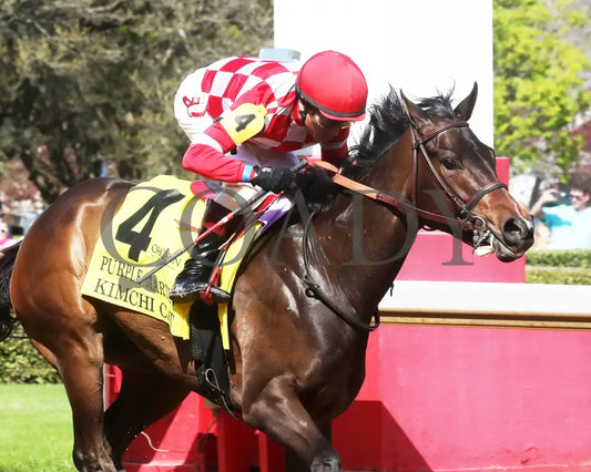 KIMCHI CAT - The Purple Martin - 03-22-25 - R07 - OP - Finish 03 Oaklawn Park