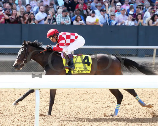KIMCHI CAT - The Purple Martin - 03-22-25 - R07 - OP - Inside Finish 01 Oaklawn Park