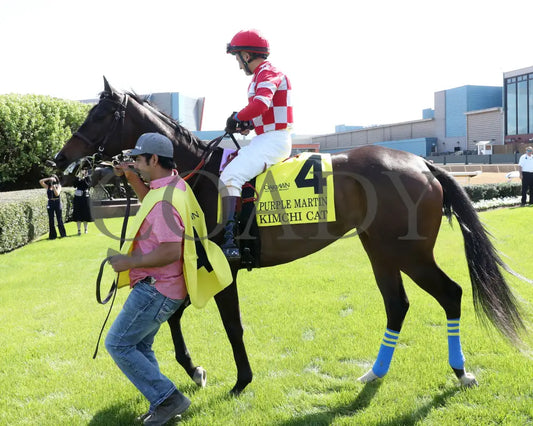 KIMCHI CAT - The Purple Martin - 03-22-25 - R07 - OP - Paddock 03 Oaklawn Park