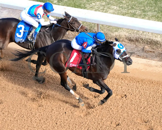 Kinetic - The General Macarthur Overnight Stakes 01-25-25 R06 Op Aerial Finish 01 Oaklawn Park