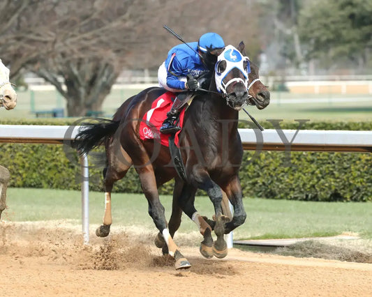 Kinetic - The General Macarthur Overnight Stakes 01-25-25 R06 Op Finish 02 Oaklawn Park