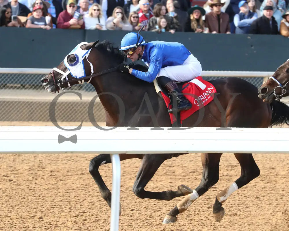 Kinetic - The General Macarthur Overnight Stakes 01-25-25 R06 Op Inside Finish 01 Oaklawn Park