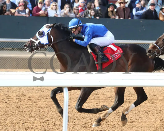 Kinetic - The General Macarthur Overnight Stakes 01-25-25 R06 Op Inside Finish 01 Oaklawn Park