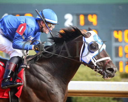 Kinetic - The General Macarthur Overnight Stakes 01-25-25 R06 Op Tight Finish 01 Oaklawn Park