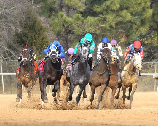 Kinetic - The General Macarthur Overnight Stakes 01-25-25 R06 Op Turn 01 Oaklawn Park