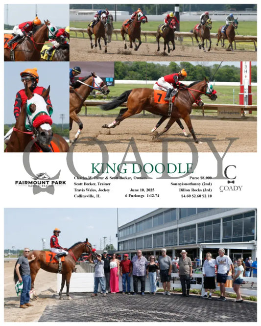 KING DOODLE - 06-10-25 - R05 - FP Fanduel Sportsbook Horse Racing