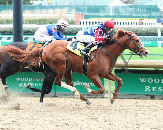King Fury - The Street Sense Overnight Stakes 8Th Running 10-25-20 R08 Cd Finish 01 Churchill Downs