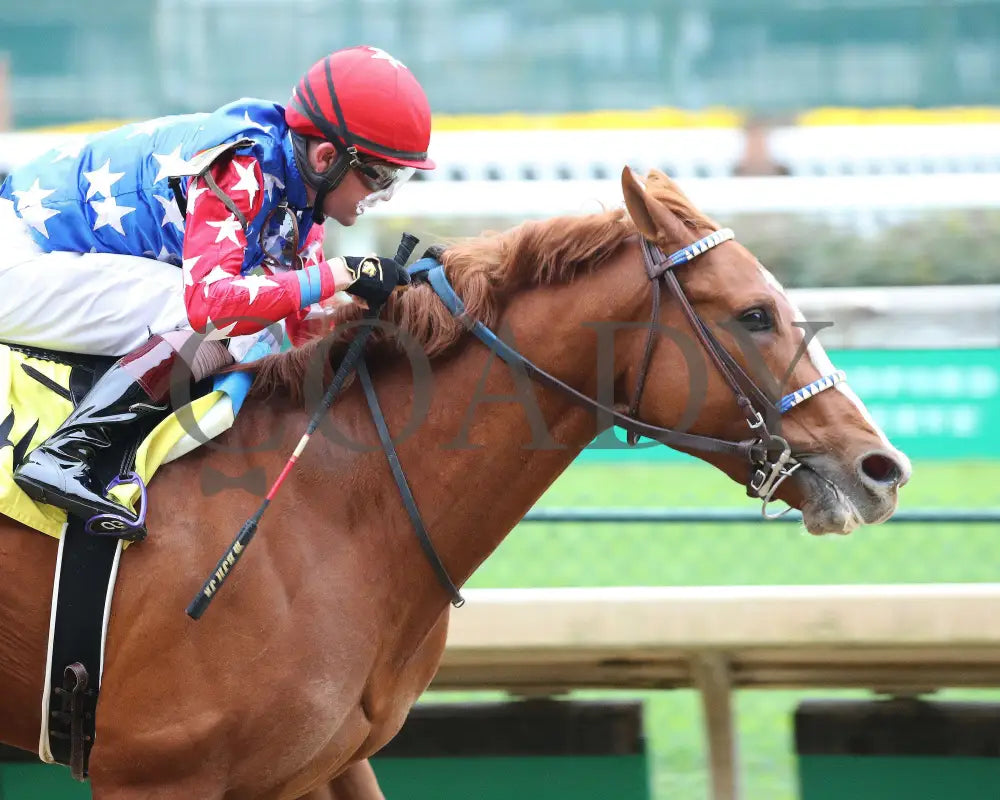 King Fury - The Street Sense Overnight Stakes 8Th Running 10-25-20 R08 Cd Finish 03 Churchill Downs