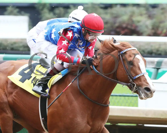 King Fury - The Street Sense Overnight Stakes 8Th Running 10-25-20 R08 Cd Finish 05 Churchill Downs