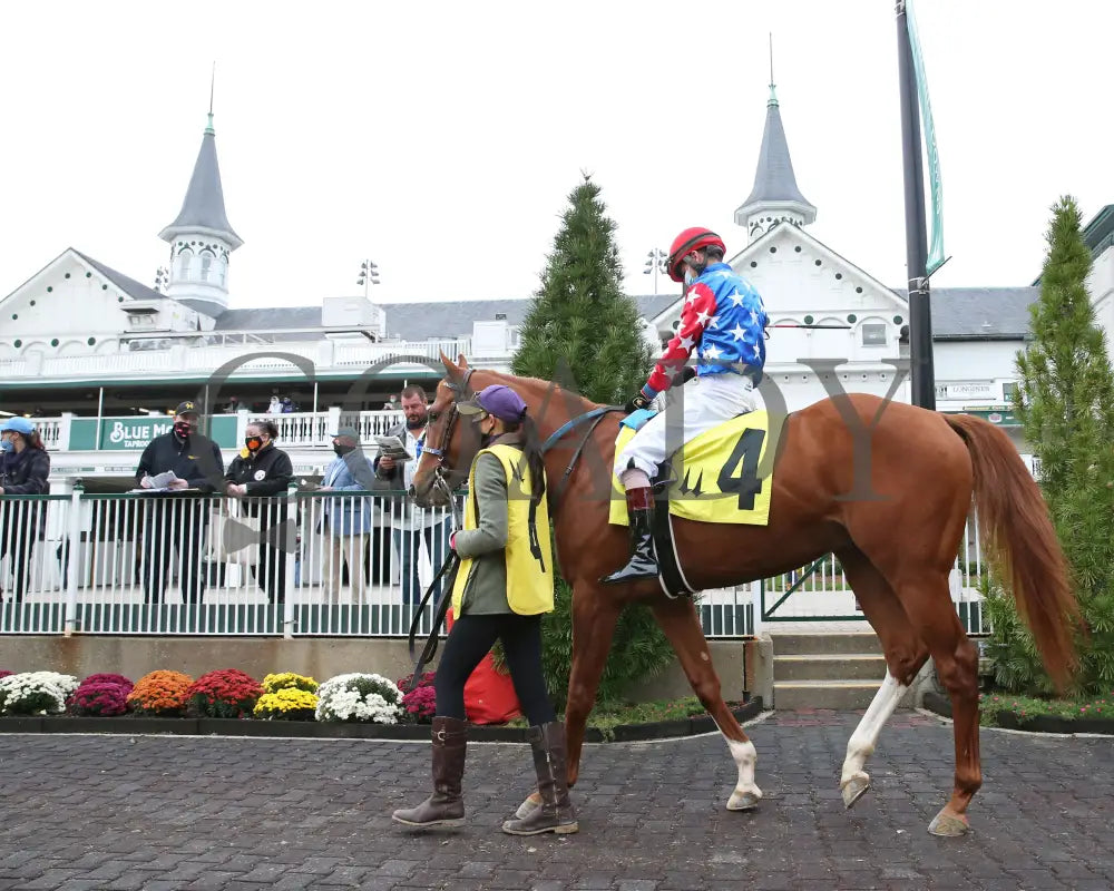 King Fury - The Street Sense Overnight Stakes 8Th Running 10-25-20 R08 Cd Paddock 02 Churchill Downs