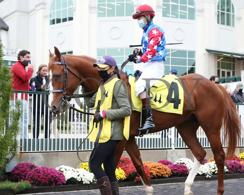 King Fury - The Street Sense Overnight Stakes 8Th Running 10-25-20 R08 Cd Paddock 03 Churchill Downs