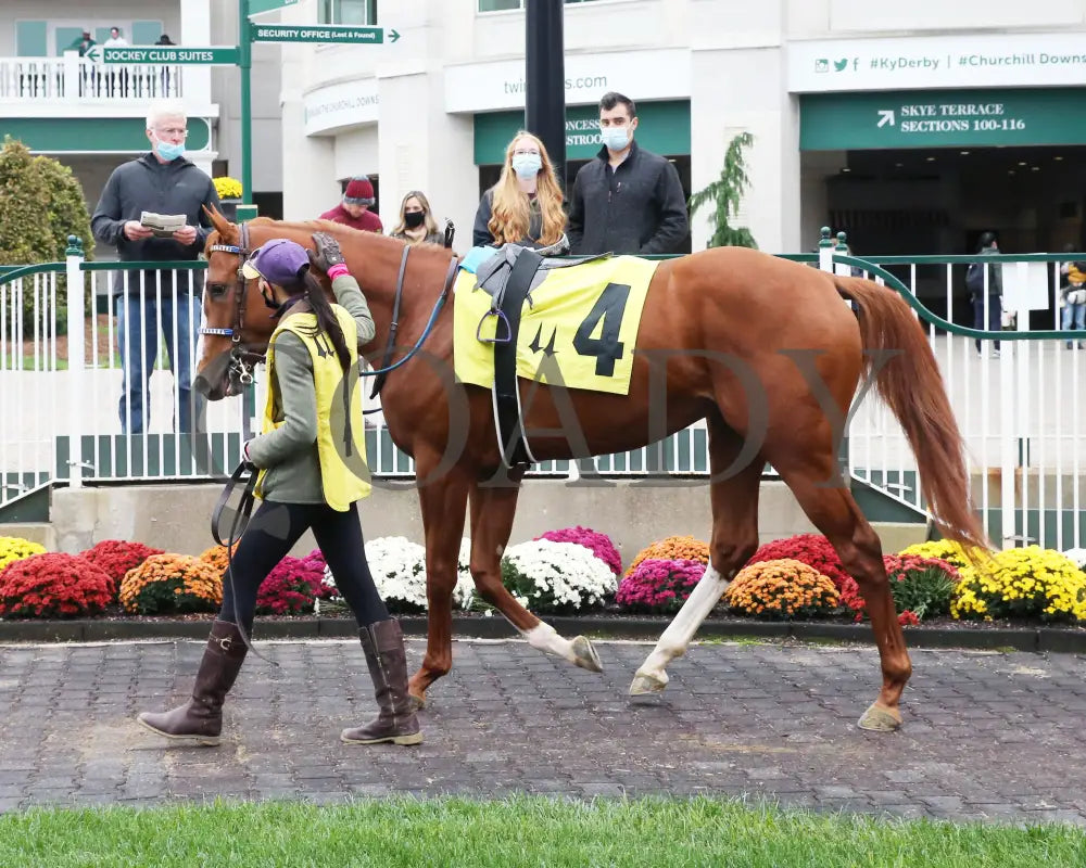 King Fury - The Street Sense Overnight Stakes 8Th Running 10-25-20 R08 Cd Paddock 04 Churchill Downs