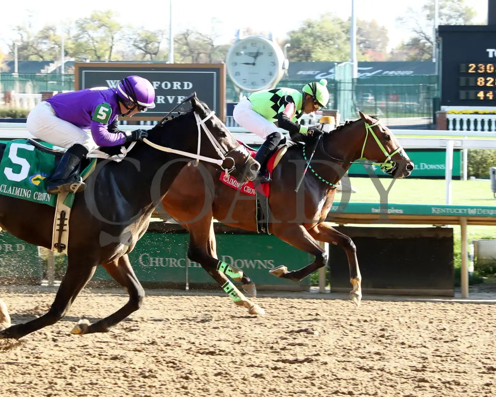 King Of Hollywood - 111624 Race 04 Cd Finish 01 Churchill Downs