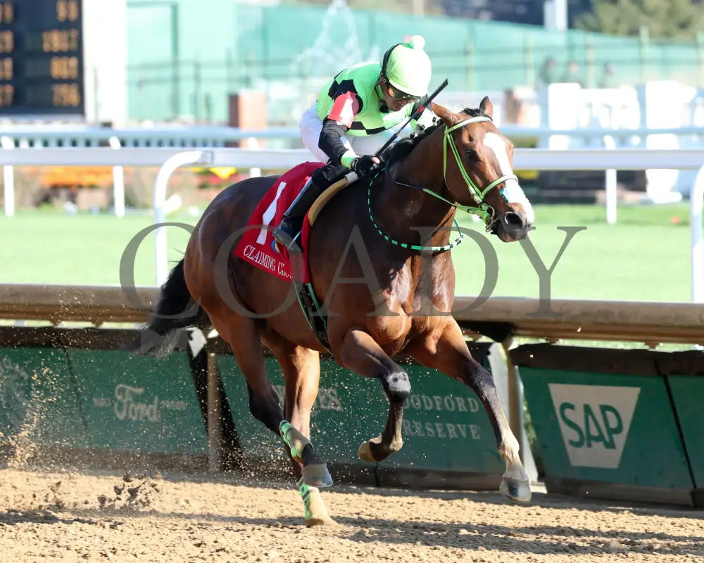 King Of Hollywood - 111624 Race 04 Cd Finish 02 Churchill Downs