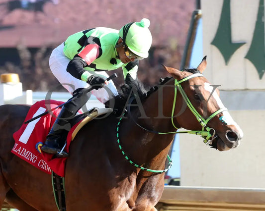 King Of Hollywood - 111624 Race 04 Cd Tight Finish 02 Churchill Downs
