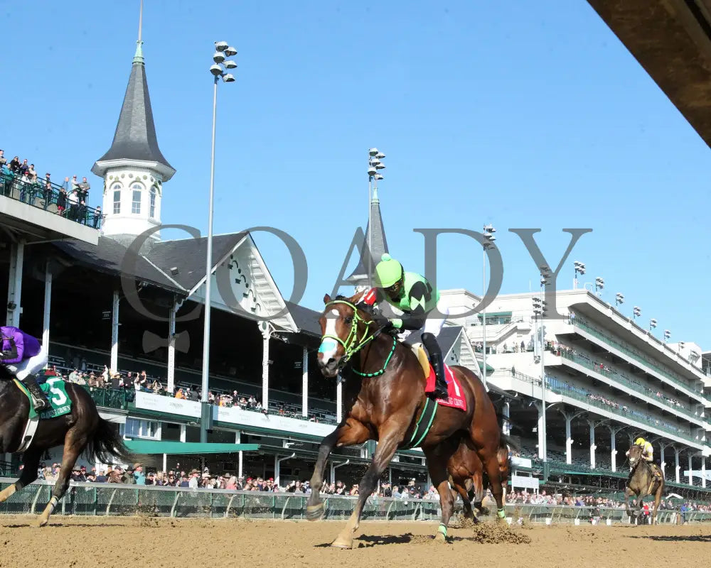 King Of Hollywood - 111624 Race 04 Cd Under Rail 01 Churchill Downs