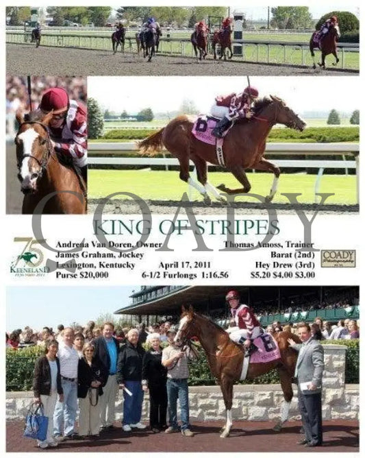 King Of Stripes - 041711 Race 05 Keeneland