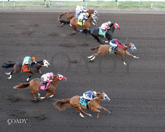 KING OF THE TIDE - All American Quarter Horse Futurity G1 - 09-01-25 - R10 - RUI - Aerial Finish 01 - Coady Media - Kurtis Coady Photography