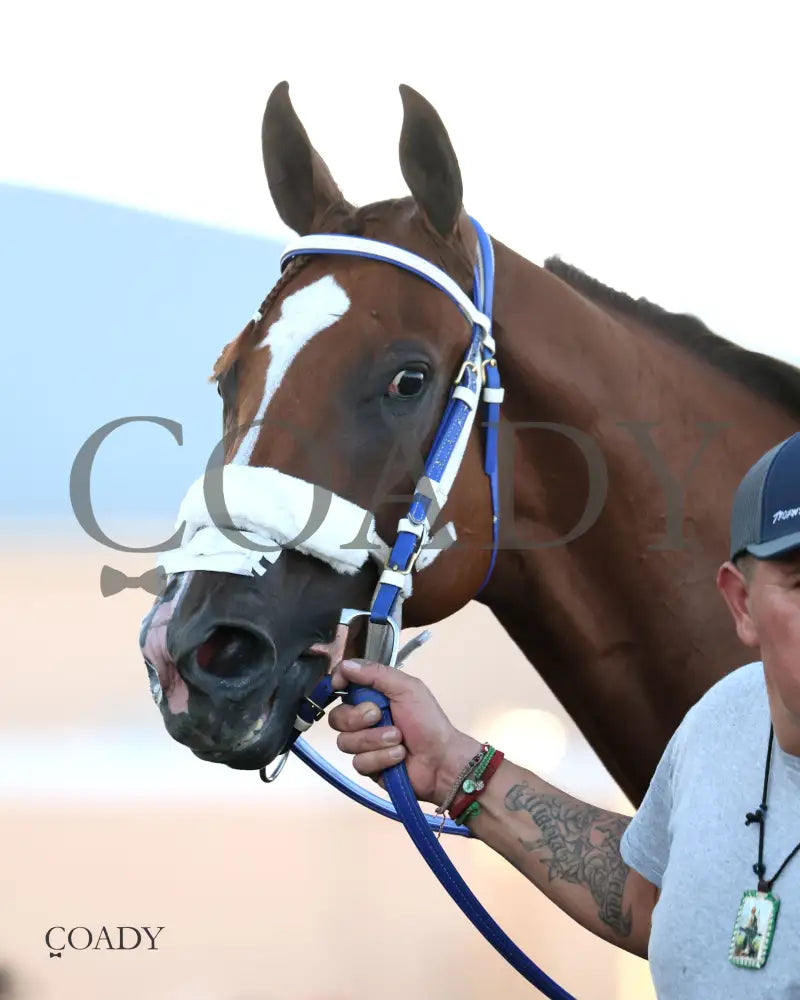 KING OF THE TIDE - All American Quarter Horse Futurity G1 - 09-01-25 - R10 - RUI - Head Shot 01 - Coady Media - Kurtis Coady Photography
