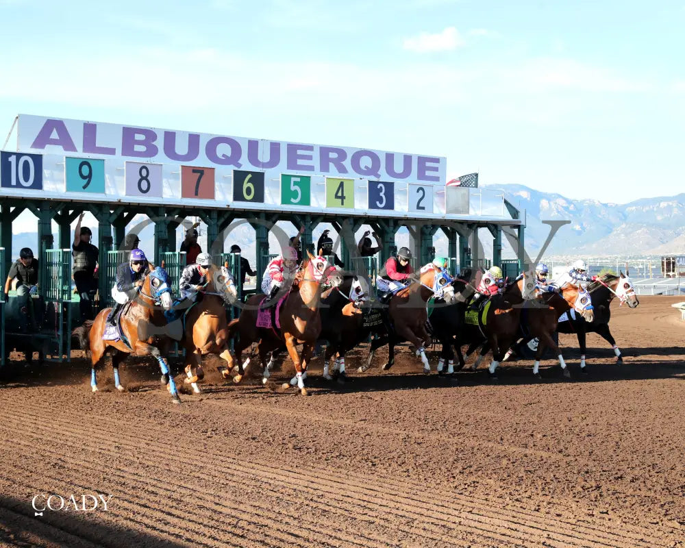 KING OF THE TIDE - All American Quarter Horse Futurity G1 - 09-01-25 - R10 - RUI - Start 01 - Coady Media - Kurtis Coady Photography