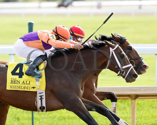 Kingsbarns - The Ben Ali G3 93Rd Running 04 - 20 - 24 R09 Kee Turn 03 Keeneland