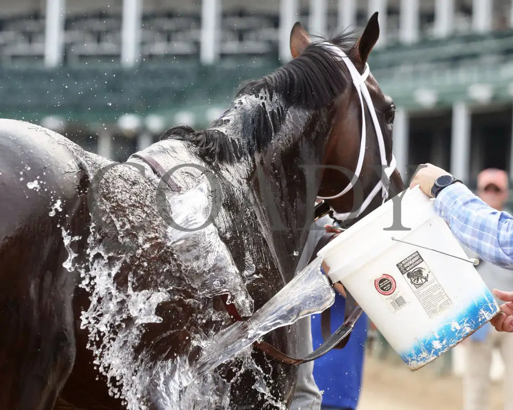 Kingsbarns - The Stephen Foster G1 06-29-24 R11 Cd Bath 01 Churchill Downs