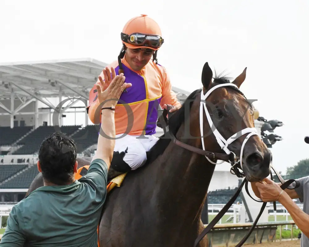 Kingsbarns - The Stephen Foster G1 06-29-24 R11 Cd Come Back 06 Churchill Downs