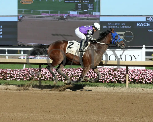 Kingsbury Road - Itoba Stallion Season 10-02-24 R06 Horseshoe Indiana Finish 01 Sammantha Pagels