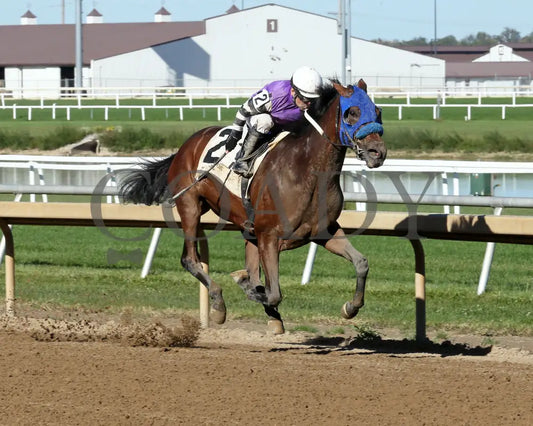 Kingsbury Road - Itoba Stallion Season 10-02-24 R06 Horseshoe Indiana Finish 02 Sammantha Pagels
