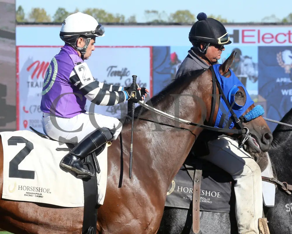 Kingsbury Road - Itoba Stallion Season 10-02-24 R06 Horseshoe Indiana Post Parade 01 Sammantha