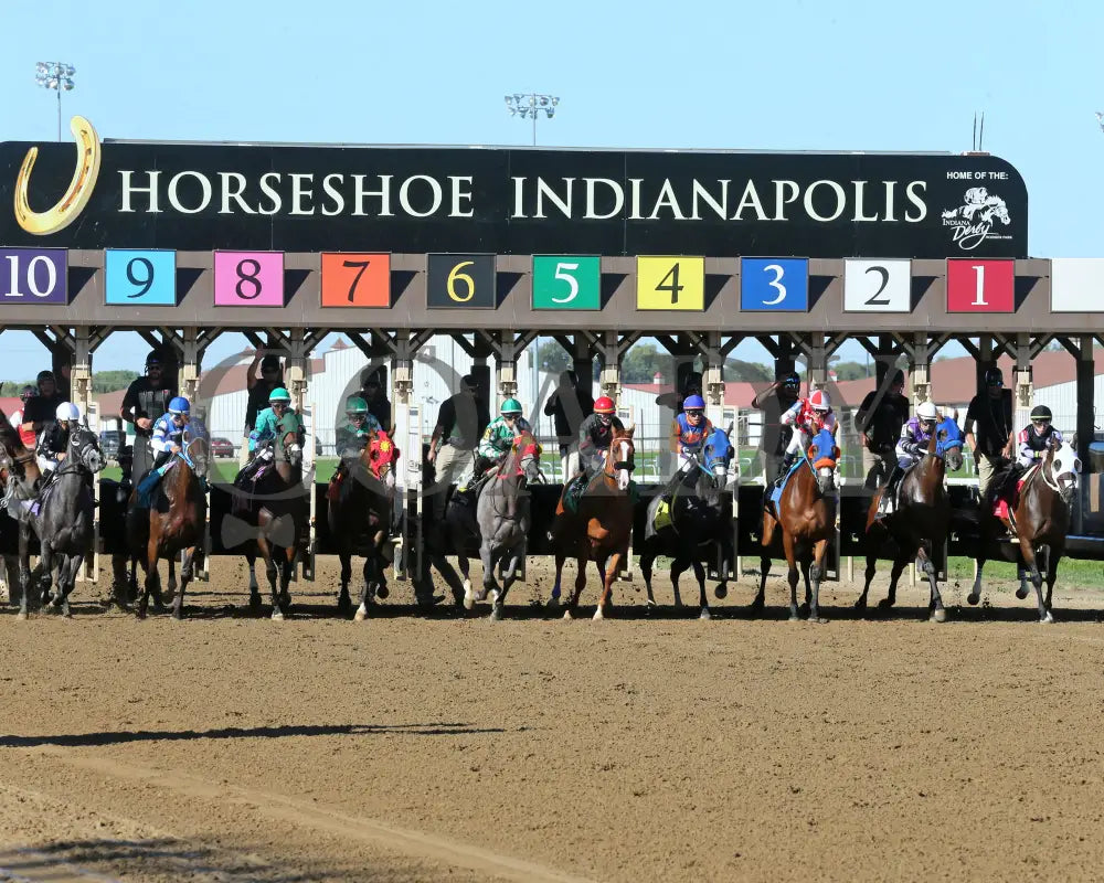Kingsbury Road - Itoba Stallion Season 10-02-24 R06 Horseshoe Indiana Start 01 Sammantha Pagels