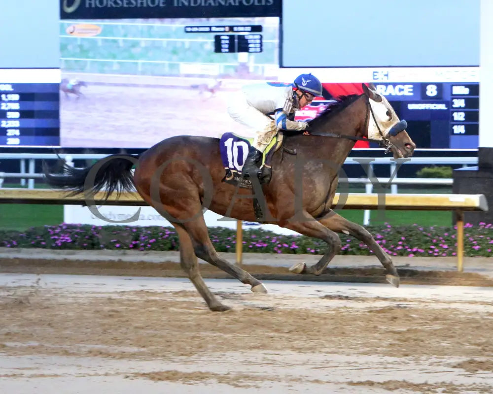 KINGSBURY ROAD - The Strong Tide Overnight Handicap - 10-29-25 - R08 - Horseshoe Indiana - Finish 01 - Sammantha Pagels