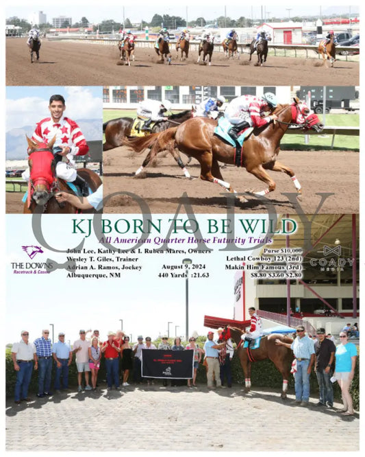 Kj Born To Be Wild - All American Quarter Horse Futurity Trials 08-09-24 R08 Alb Downs At