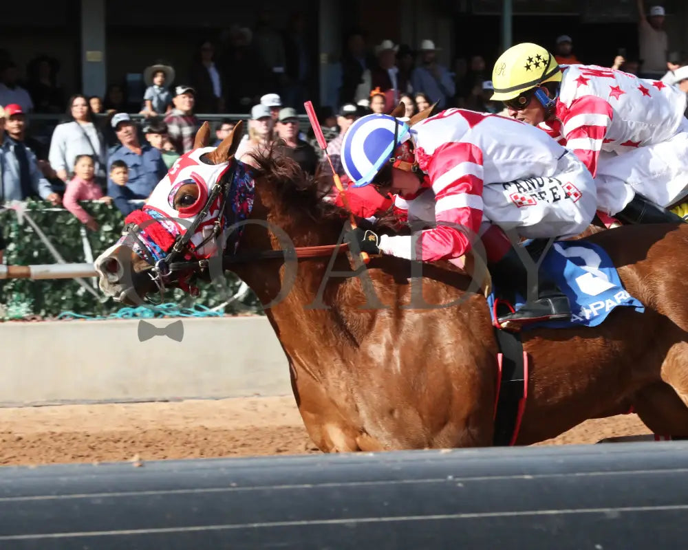 Kj Wildthang - Zia Park Quarter Horse Invitational Stakes 12-15-24 R07 Inside Finish