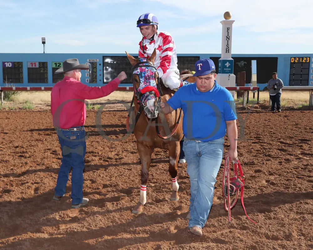 Kj Wildthang - Zia Park Quarter Horse Invitational Stakes 12-15-24 R07 Return Shot