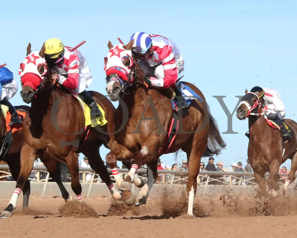 KJ WILDTHANG - Zia Park Quarter Horse Invitational Stakes - 12-15-24 - R07 - Zia Park - Under Rail - Coady Media - Kurtis Coady Photography