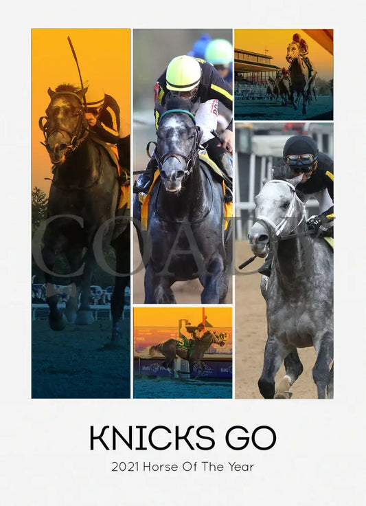 Knicks Go - Horse Of The Year 2021 18X24 Print